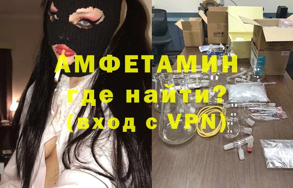 индика Богданович