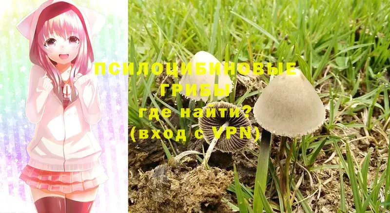 Псилоцибиновые грибы MAGIC MUSHROOMS  Чусовой 